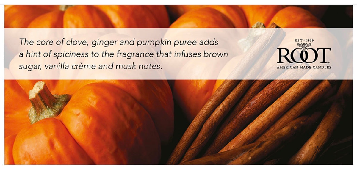 Root Candle - Pumpkin Spice - Glass Votive and Candle bundle